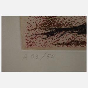 Bernard Schultze, "Migof-Derwisch"