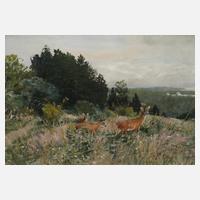 Prof. Christian Kröner, Rehe am Waldrand111