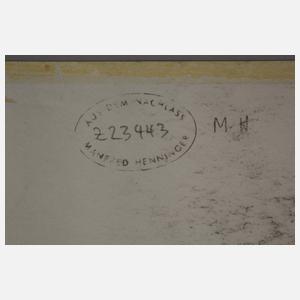 Prof. Manfred Henninger, Akte am Strand