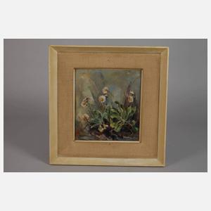 Friedrich Dietsch, Gänseblümchen