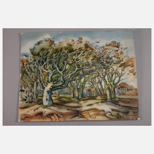 Johannes Dinter, Zwei Landschaftsdarstellungen