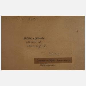 Walther Gasch, "Ruhende-Südtiroler Idylle"