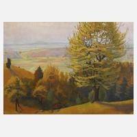 Ludwig Göbel, Blick vom Borsberg bei Pillnitz111