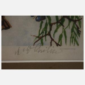 Martin Erich Philipp, "Feuerweber"