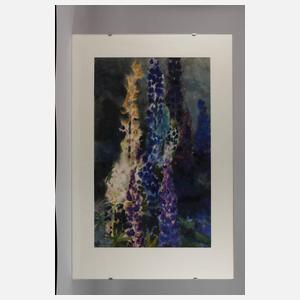 Manfred Riedl, Lupinen