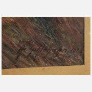 Albin Schlehahn, Blick auf Plauen