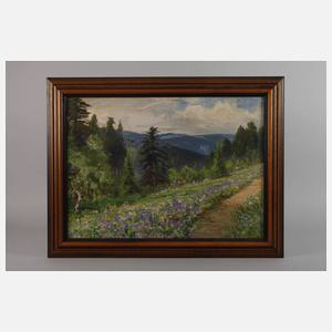 Franz Schreyer, "Blick ins Oratal"