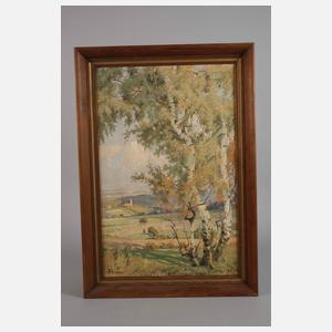 Prof. Friedrich Rudolf Zenker, "Heinersgrüner Kapelle"