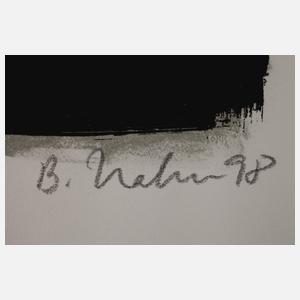 Bernd Hahn, "Blau, Weiß und Rot"