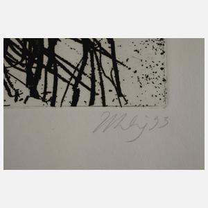 Prof. Max Uhlig, "Gehölz"