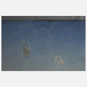 François Diday, Das Reichenbachtal bei Meiringen