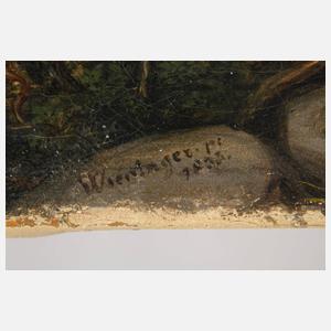 Franz Xaver Wieninger, Dorf im Gebirge