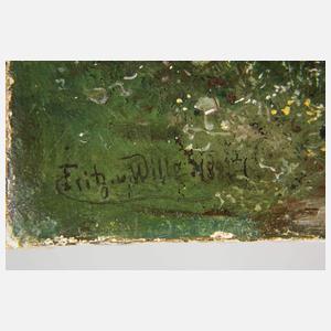 Prof. Fritz von Wille, Burg Drachenfels am Rhein