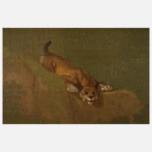 Kampf auf Leben und Tod