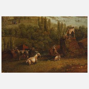 Abendliche Flusslandschaft