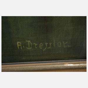 A. Dressler, Blick über den Königssee