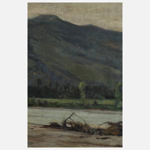 Prof. Andreas Egersdörfer, Fluss in Gebirgslandschaft