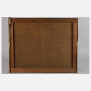 Prof. Andreas Egersdörfer, Fluss in Gebirgslandschaft