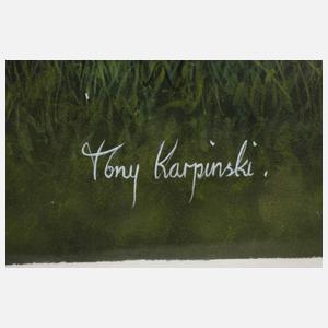 Tony Karpinski, Kämpfende Zebras