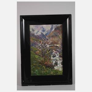 Peter Paul Müller-Werlau, Frühling im Tal