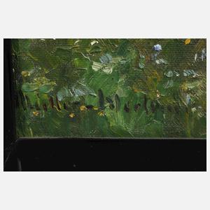 Peter Paul Müller-Werlau, Frühling im Tal