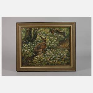 R. Scholz, Feldhase mit Buschwindröschen