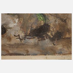 Prof. h.c. Julius Seyler, Indigene zu Pferd in der Prärie