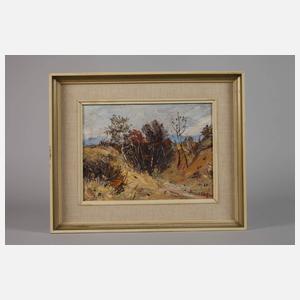 Prof. Alexander von Szpinger, Sonniger Herbsttag