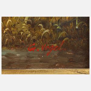 Vogel, Hühner mit Küken