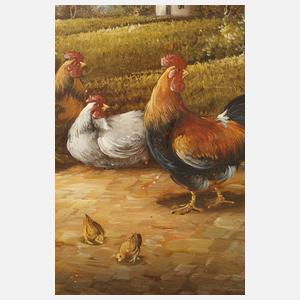 Vogel, Hühner mit Küken