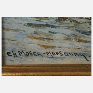 Moser-Moosburg, Imposante mediterrane Küstenpartie