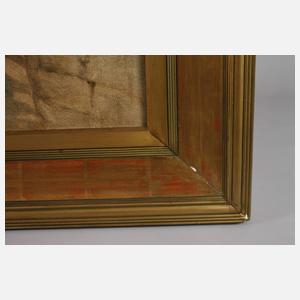 Landschaft am Bodensee