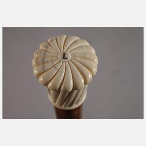 Spazierstock Galalith