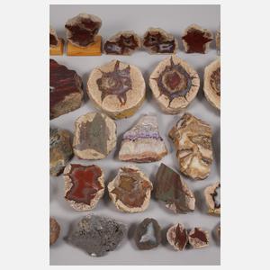 Konvolut Anschliffe von sächsischen Mineralien