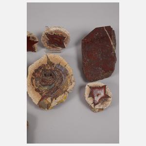 Konvolut Anschliffe von sächsischen Mineralien
