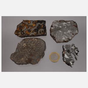 Sammlung Meteorite
