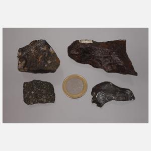 Sammlung Meteorite