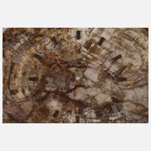 Segment versteinertes Holz