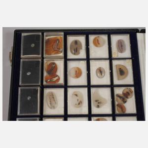 Sammlung Dendritenachate und Mondsteine