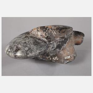 Angeschliffener Ammonit