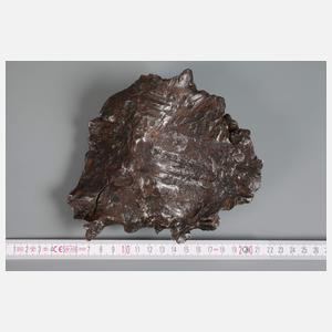 Meteorit Shikote-Alin