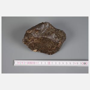 Steinmeteorit NWA 1499/Sahara