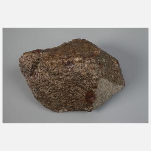 Steinmeteorit NWA 1499/Sahara