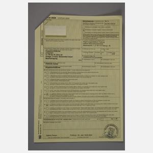 Tierpräparat Grüne Meeresschildkröte