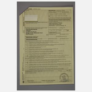 Tierpräparat Echte Karettschildkröte