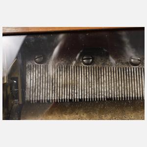 Kleine Walzenspieldose