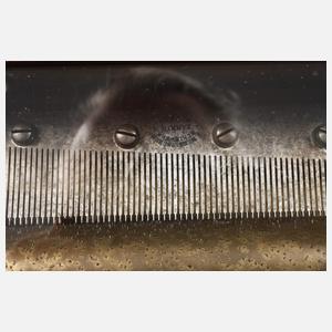 Kleine Walzenspieldose