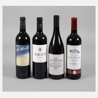 Vier Flaschen Rotwein111