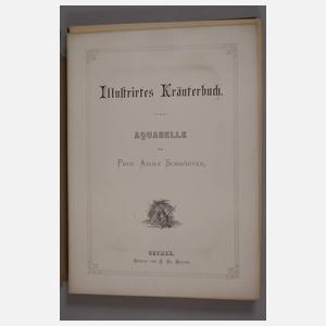Illustriertes Kräuterbuch