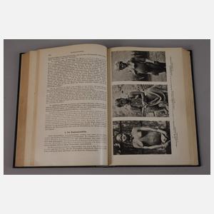 Drei Bände Das Weib